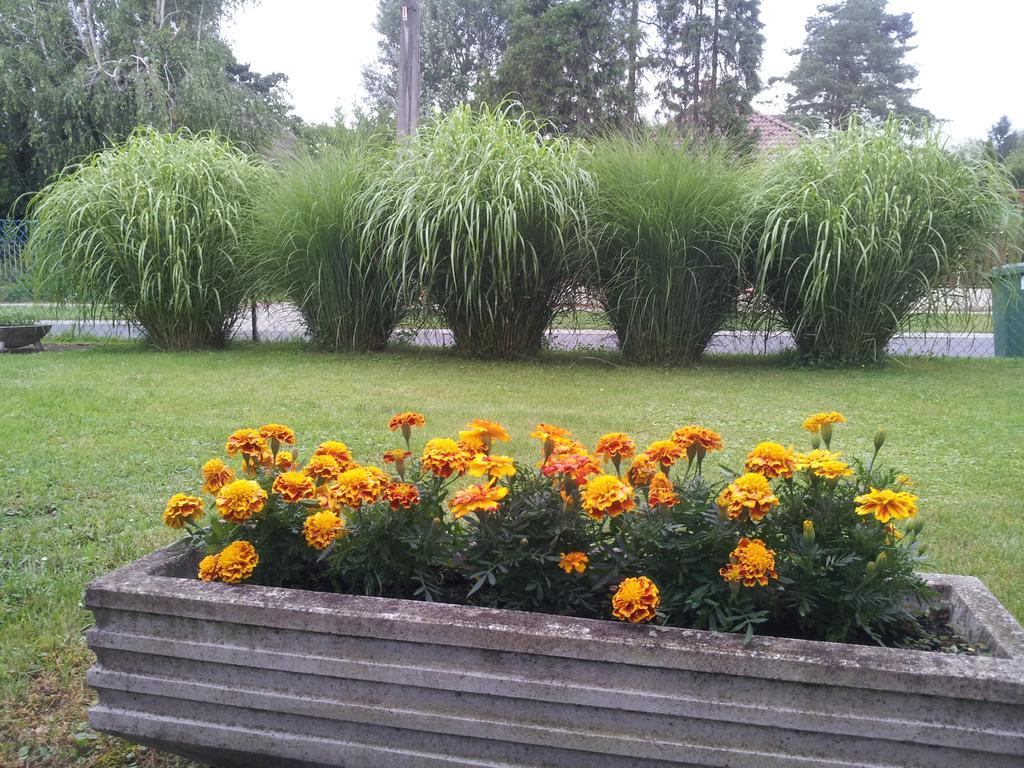 Hajas Familia Kiado Szobak Balatonmariafurdo Exterior photo