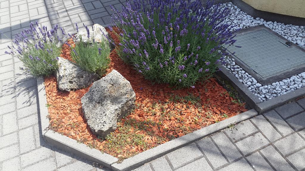 Hajas Familia Kiado Szobak Balatonmariafurdo Exterior photo